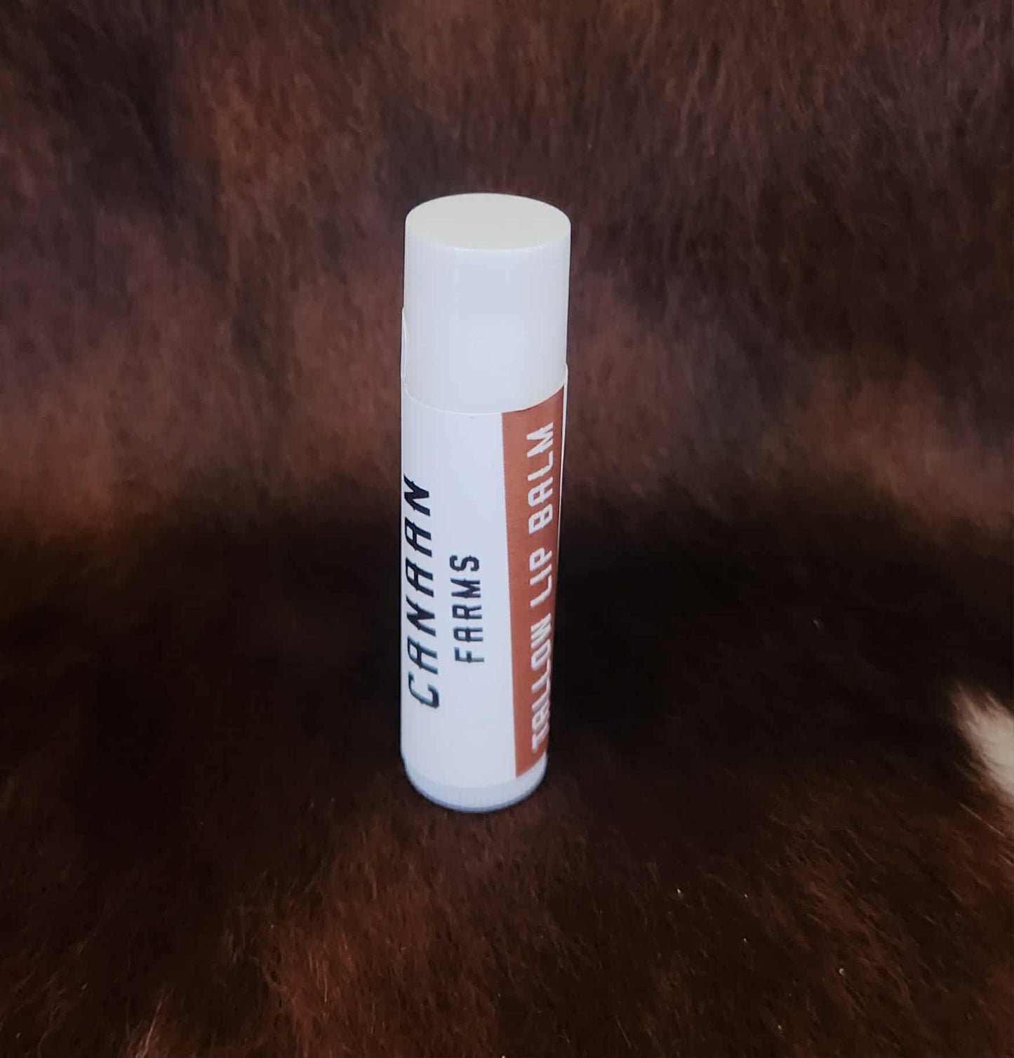 Tallow Lip Balm