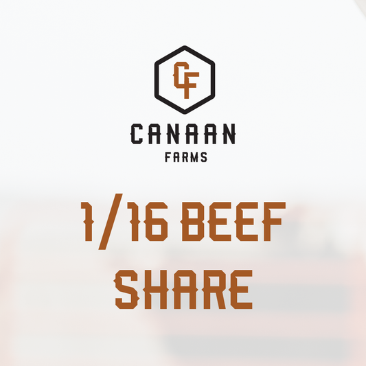 1/16 Beef Share